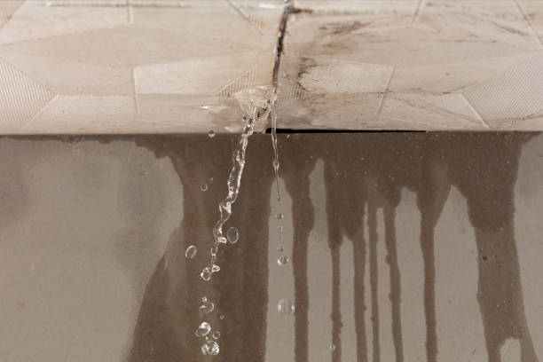 Professional Burst Pipe Cleanup technician working in Dellrose, TN
